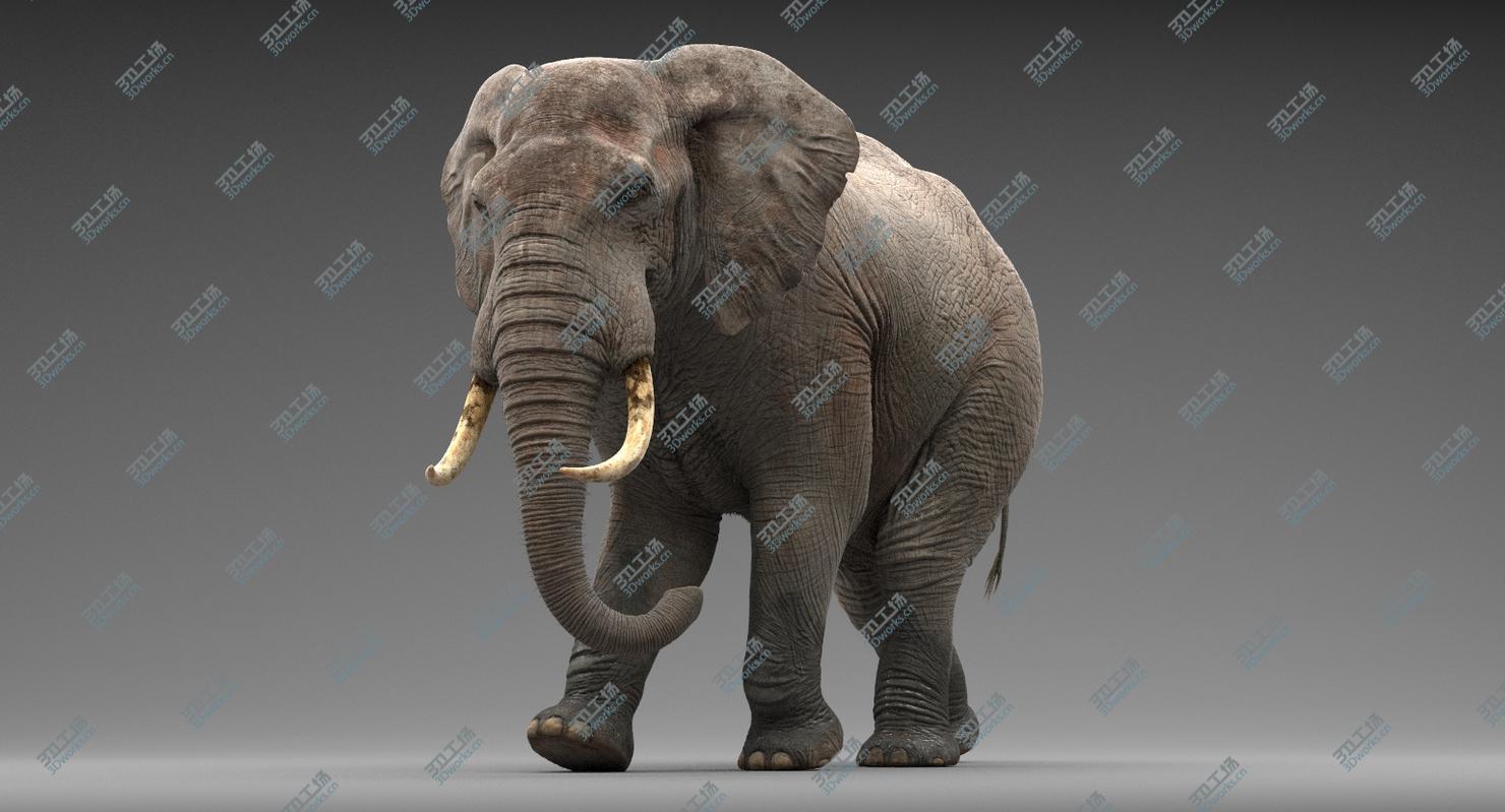 images/goods_img/20210113/Elephant Animated/3.jpg